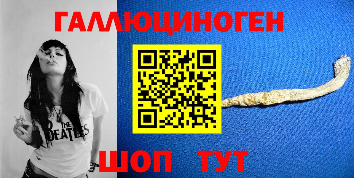 Галлюциногенные грибы Cubensis  Вход с VPN  Пугачёв  Псилоцибиновые грибы прущие грибы 