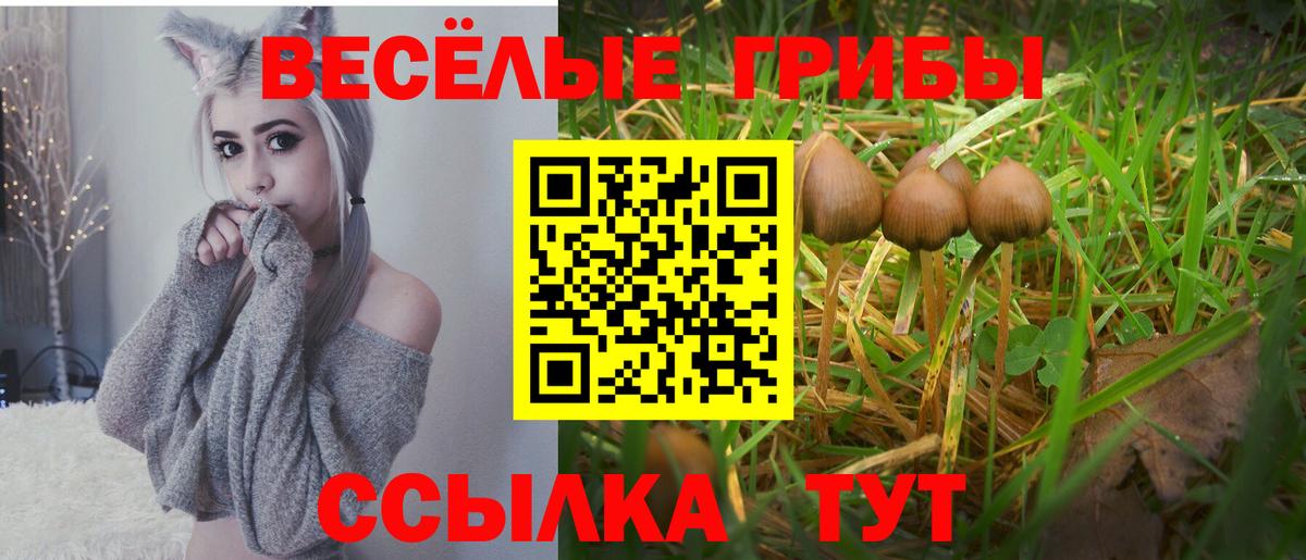 Псилоцибиновые грибы ЛСД Пугачёв